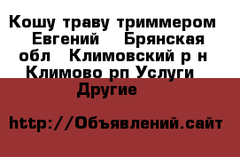 Кошу траву триммером,  Евгений. - Брянская обл., Климовский р-н, Климово рп Услуги » Другие   